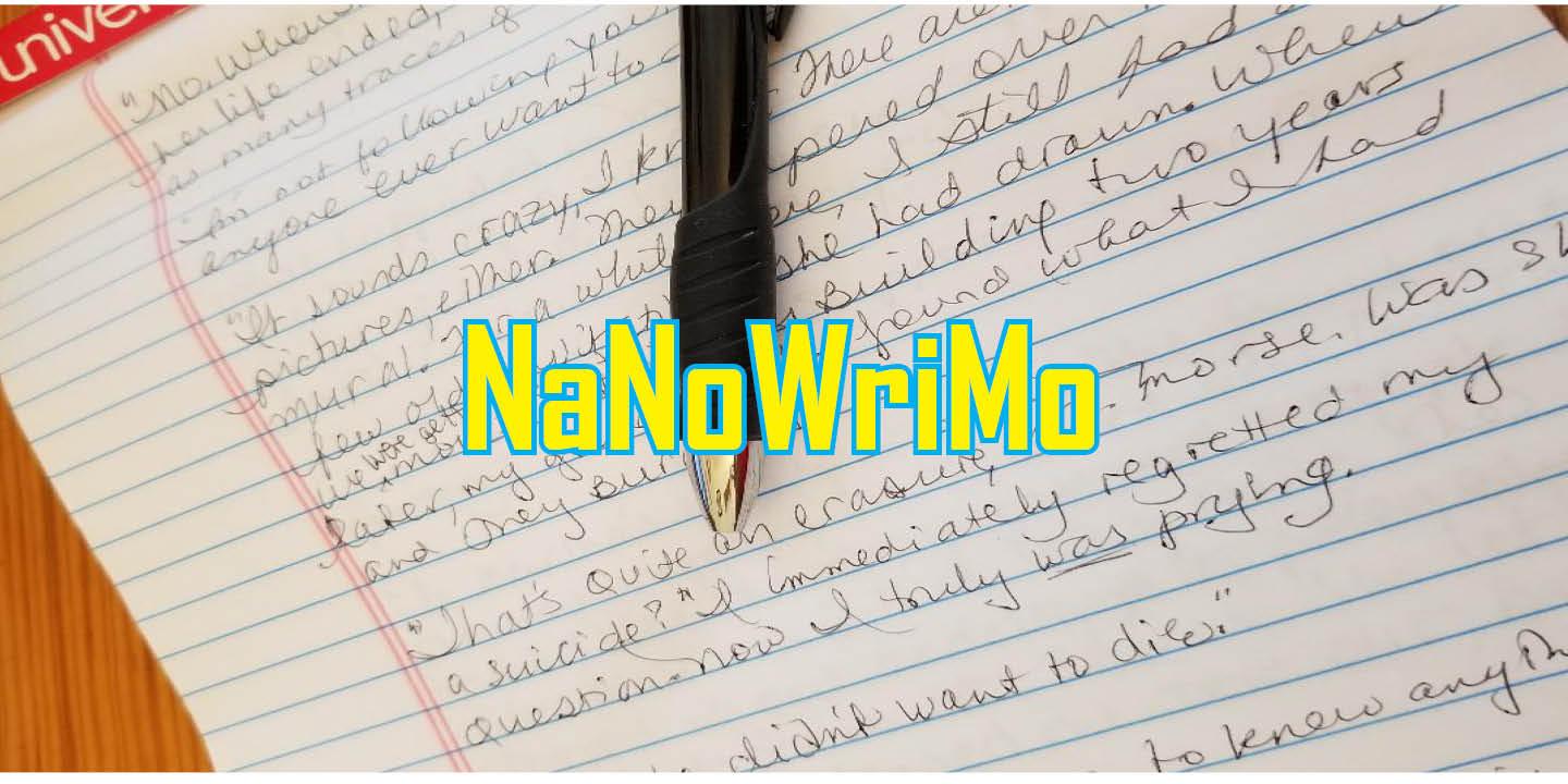 NaNoWriMo, writing, chapter length, how do I write a book,