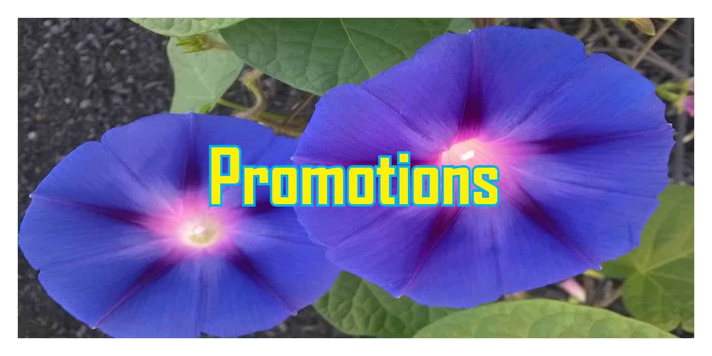 Promotions, Swag, Exposition, Better Dialogue, Character Sexuality, Starting, Personal Writing Process, Starburst Method, how do I write a book, Supporting Indie Authors, Snowflake, Libraries, Descriptions, Ages, Dialogue Tags, Gender Swap, Pocket conflicts, Giveaways, Plotting, mental energy, Character Creation, Scene Setting, Transitioning, Genre Treatments, Easter Eggs, Accents, Plot Creation, Complex evil characters, Bechdel test, Writer Newsletter, Wattpad gets into the Digital Publishing Game, character reviews, Universal Explorations,